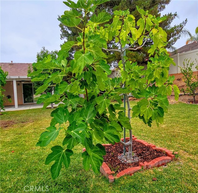 821 Atlantic Circle, Corona CA: https://media.crmls.org/medias/0738422b-533b-4b43-90f7-d0c96ec42827.jpg