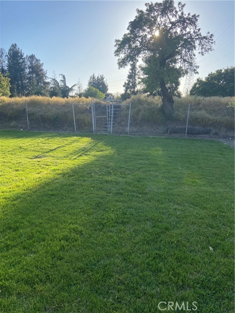 Back yard looking towards walking path.