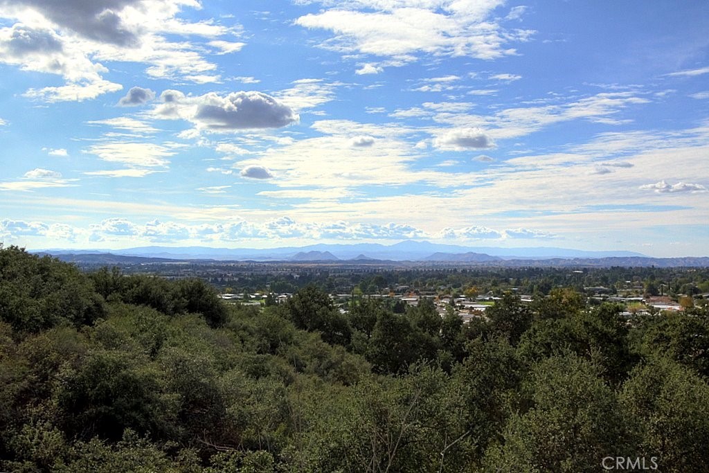 MLS #IG25034144 img 46