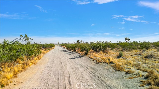 Detail Gallery Image 15 of 19 For 0 Palmadale Rd, Pinon Hills,  CA 92372 - – Beds | – Baths