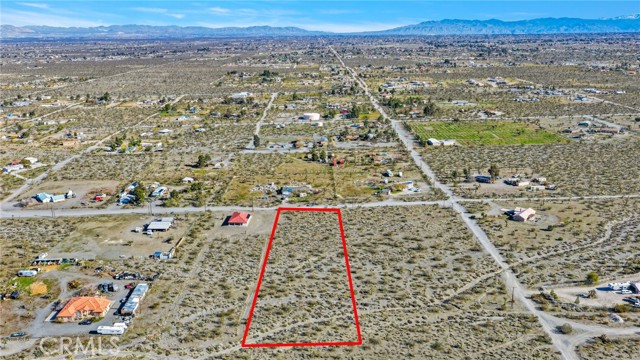 Detail Gallery Image 6 of 11 For 11786 Buckwheat Rd, Pinon Hills,  CA 92372 - – Beds | – Baths