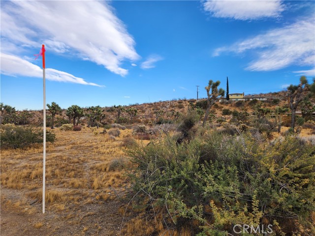 Detail Gallery Image 3 of 13 For 164 Lot Joshua Ln, Yucca Valley,  CA 92284 - – Beds | – Baths