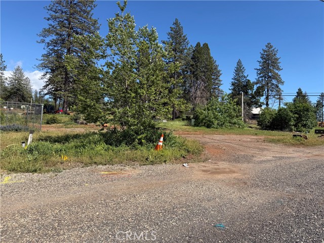 Front Image Thumbnail for CRSN26071691