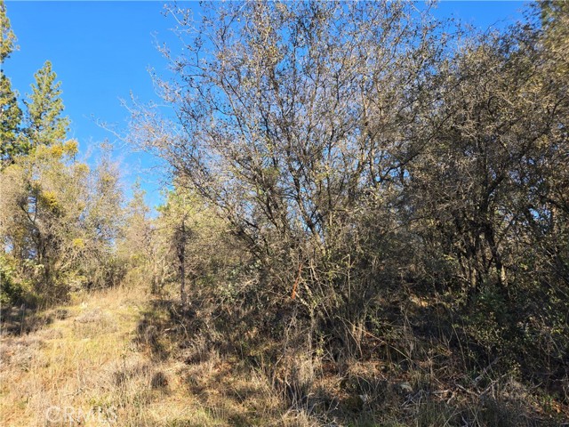 Detail Gallery Image 25 of 34 For 0 Double Eagle Way, Brownsville,  CA 95919 - – Beds | – Baths