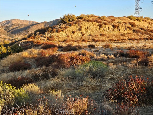 Detail Gallery Image 3 of 23 For 0 Angeles Forest, Palmdale,  CA 93550 - – Beds | – Baths