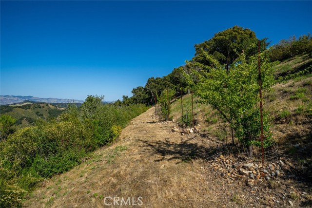 2650 Skyview Trail, San Luis Obispo CA: https://media.crmls.org/medias/074f0028-dba8-4422-b84f-d2c708239d71.jpg