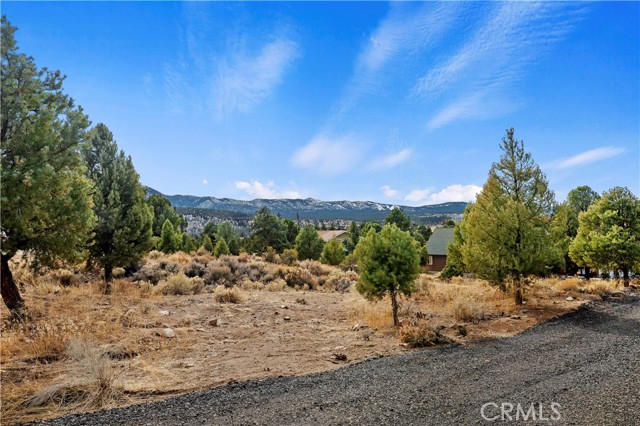 Detail Gallery Image 3 of 10 For 0 Sunny Slope Ln, Big Bear City,  CA 92314 - – Beds | – Baths