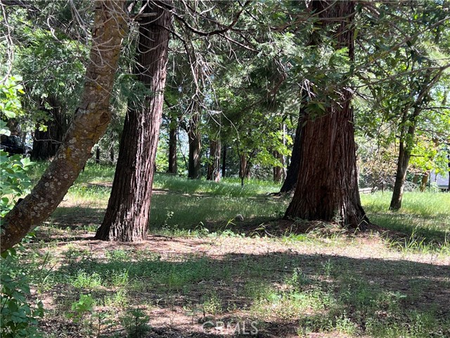 28879 Sycamore Drive, Lake Arrowhead CA: https://media.crmls.org/medias/075483ae-0482-4fd5-9e2a-c5fe93c4d386.jpg