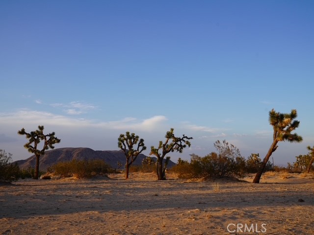 MLS #JT25266809 image #47