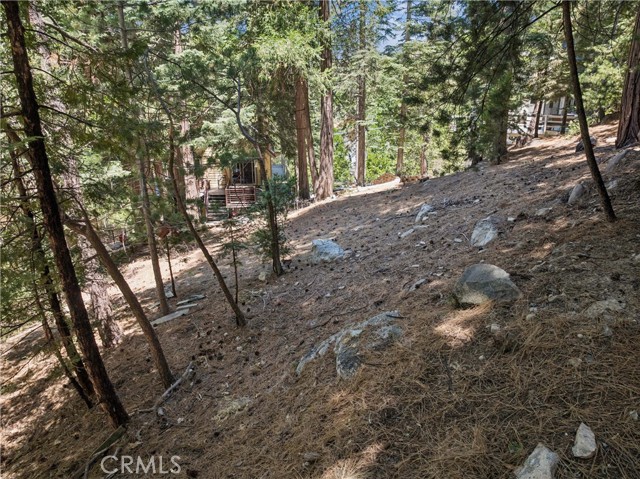 582 Grass Valley Ct, Lake Arrowhead, CA 92352 photo 32