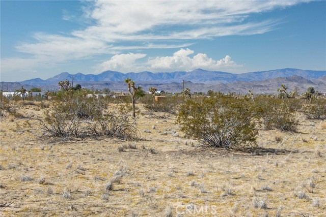 Detail Gallery Image 5 of 40 For 58787 Becker, Landers,  CA 92285 - 1 Beds | 1 Baths