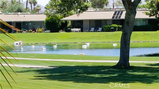 Detail Gallery Image 53 of 70 For 6 Whittier Ct, Rancho Mirage,  CA 92270 - 3 Beds | 3 Baths