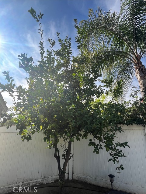 Detail Gallery Image 46 of 46 For 5075 Rockhampton Ct, Yorba Linda,  CA 92887 - 4 Beds | 3 Baths