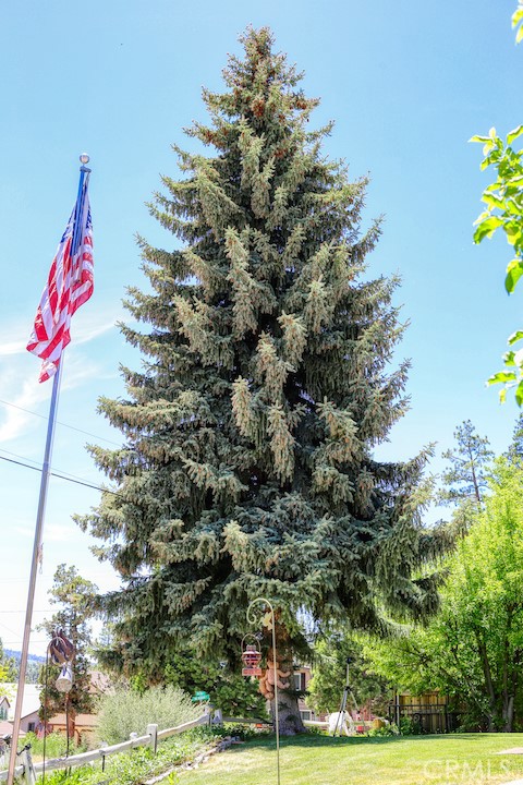 Detail Gallery Image 8 of 61 For 1091 Blue Mountain Rd, Big Bear City,  CA 92314 - 3 Beds | 2 Baths