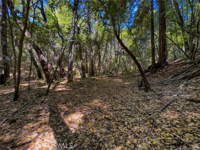 Detail Gallery Image 5 of 12 For 3700 Redwood Creek Rd, Willits,  CA 95490 - – Beds | – Baths