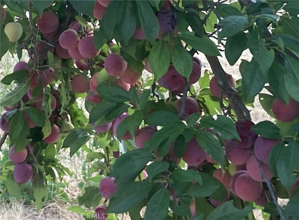https://media.crmls.org/medias/0779a415-a1b6-4793-95a3-00d21b196823.jpg?preset=X-Large