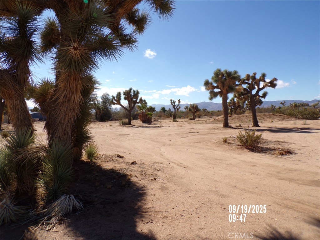 MLS #JT25220711 image #37