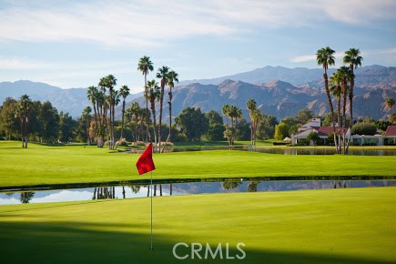 MLS #NP25258289 image #5