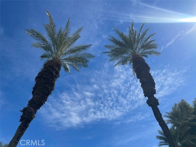 Detail Gallery Image 33 of 42 For 42320 Baracoa Dr #2,  Bermuda Dunes,  CA 92203 - 2 Beds | 2 Baths