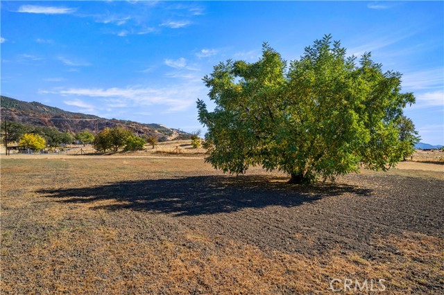 Detail Gallery Image 41 of 55 For 1425 E State Highway 20, Upper Lake,  CA 95485 - 2 Beds | 2 Baths