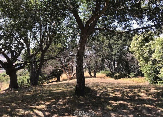 Image 11 of 13 For 23411 Ridge Line Road