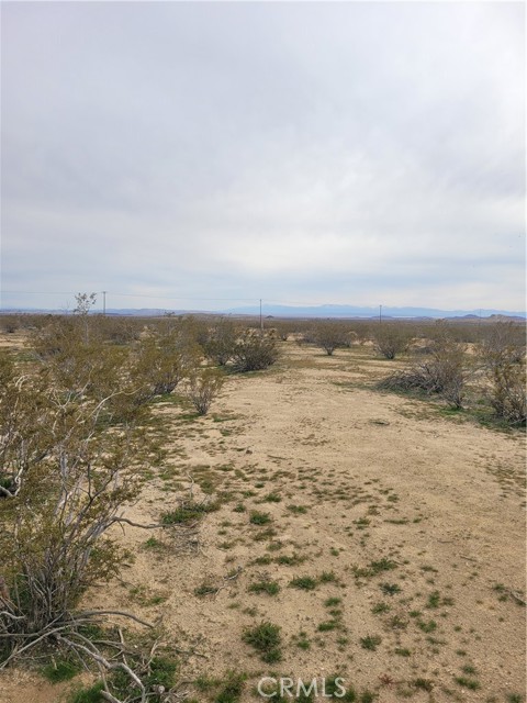 0 San Carlos Street, California City, California 93505, ,Land,For Sale,0 San Carlos Street,CRDW23041592