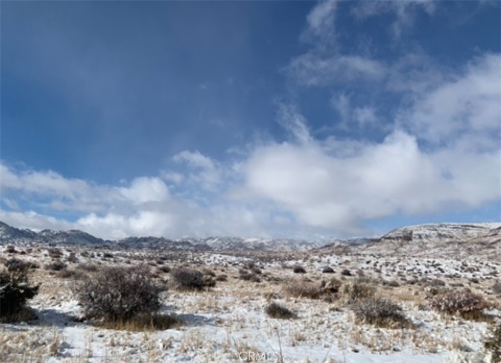MLS #SW25164124 image #8
