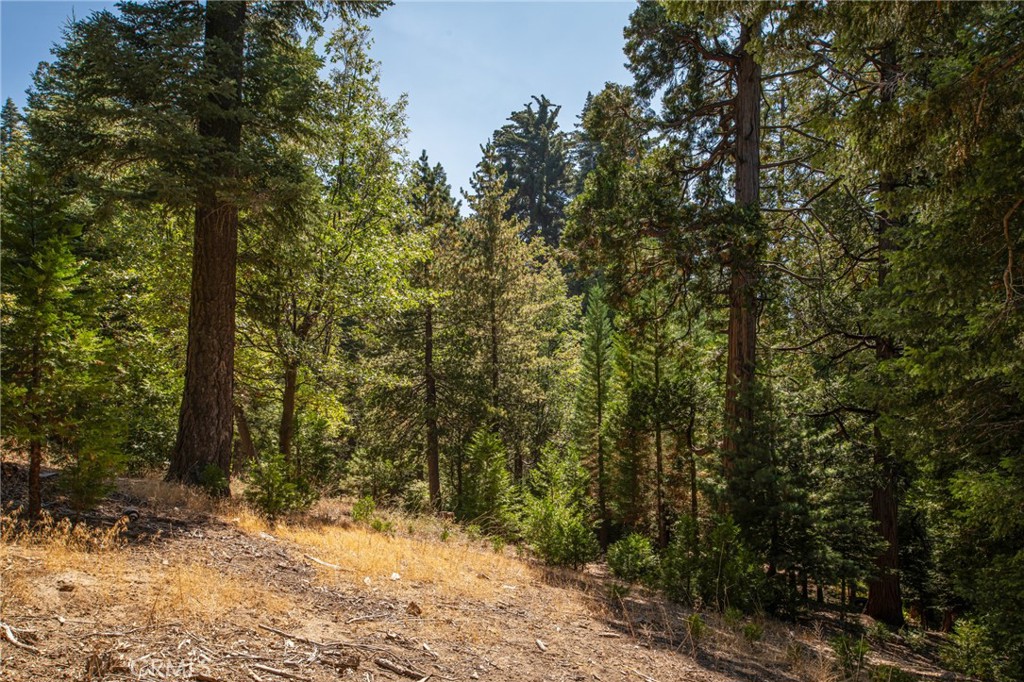 https://media.crmls.org/medias/078bd887-c0d6-4a99-8799-770921f61228.jpg?preset=X-Large