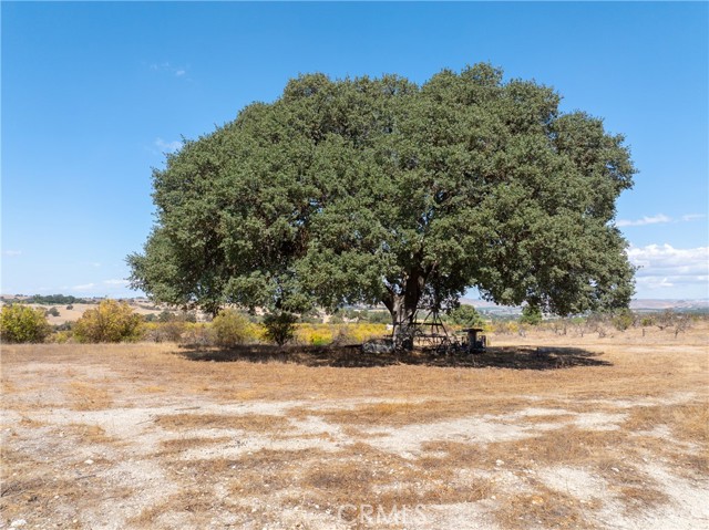 27 Wellsona Road, Paso Robles CA: https://media.crmls.org/medias/078c059f-28d9-4c30-acb4-561f66a1e347.jpg