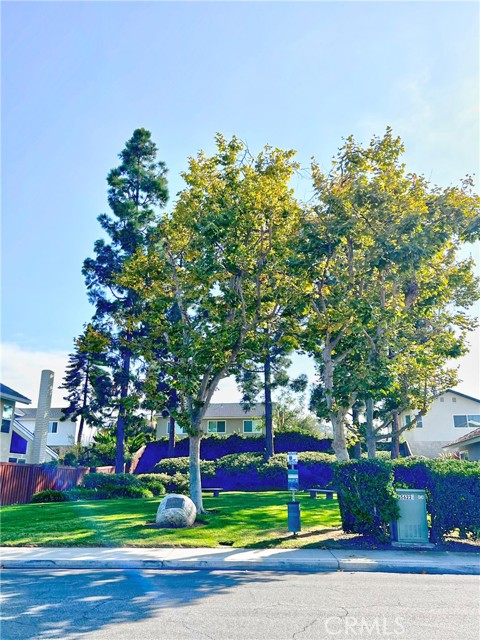 25592 Leeward Drive, Dana Point CA: https://media.crmls.org/medias/078d9dfd-25f0-497a-9b34-d4e7dd350314.jpg