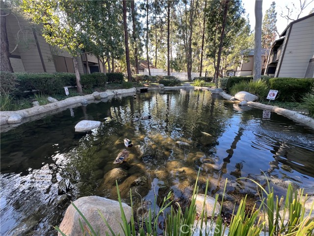 MLS# OC24007855