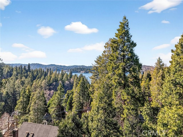Detail Gallery Image 38 of 40 For 104 Highway 173, Lake Arrowhead,  CA 92352 - 3 Beds | 3 Baths