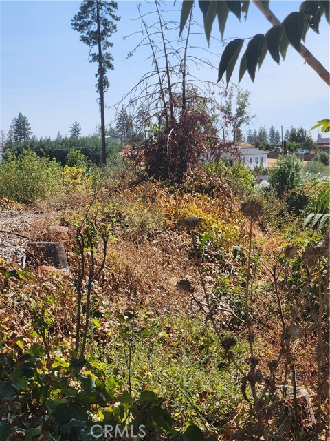 Detail Gallery Image 1 of 1 For 328 Simpson Ranch Rd, Berry Creek,  CA 95916 - – Beds | – Baths