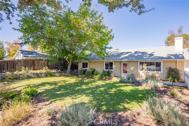 I can picture the afternoons spent sitting on the bench under the shade tree.