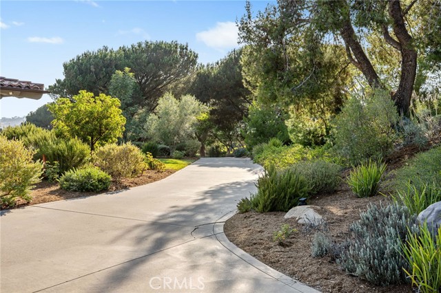 4 Golden Meadow Lane, Fallbrook CA: https://media.crmls.org/medias/079722dc-8aa7-4f37-90b4-6a4e566014e2.jpg