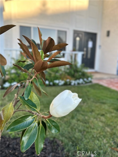 23772 Singapore Street, Mission Viejo CA: https://media.crmls.org/medias/079974dc-e2d9-4479-9665-e27928f5bf73.jpg