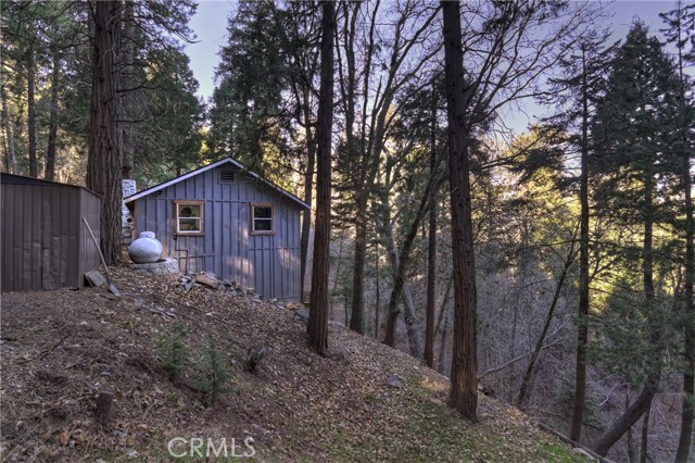 687 Spring, Cedarpines Park CA: https://media.crmls.org/medias/079a7c9e-3897-4ba4-b0c0-fe400e26a871.jpg