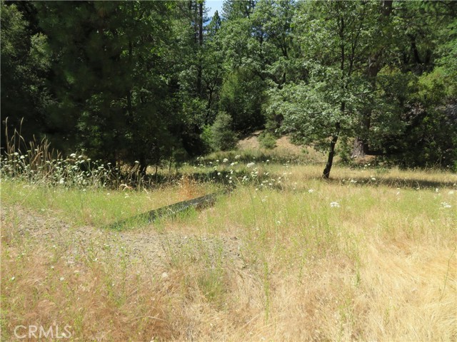 0 Barns Ranch Road, Covelo, California 95428, ,Land,For Sale,0 Barns Ranch Road,CRSN23031018