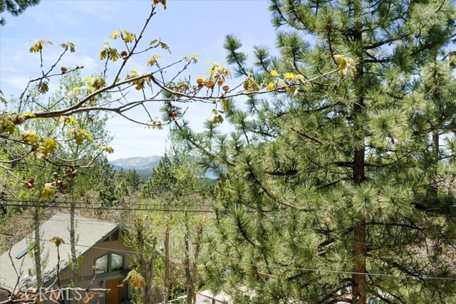 Detail Gallery Image 44 of 46 For 694 Butte Ave, Big Bear City,  CA 92314 - 4 Beds | 2/1 Baths