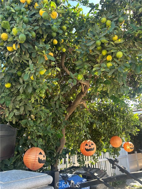 Detail Gallery Image 5 of 44 For 222 W 87th, Los Angeles,  CA 90003 - 3 Beds | 1 Baths