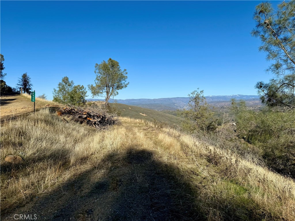 MLS #MP24255833 image #17