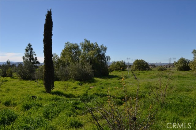 Image 10 of 38 For 29580 Patelli Way