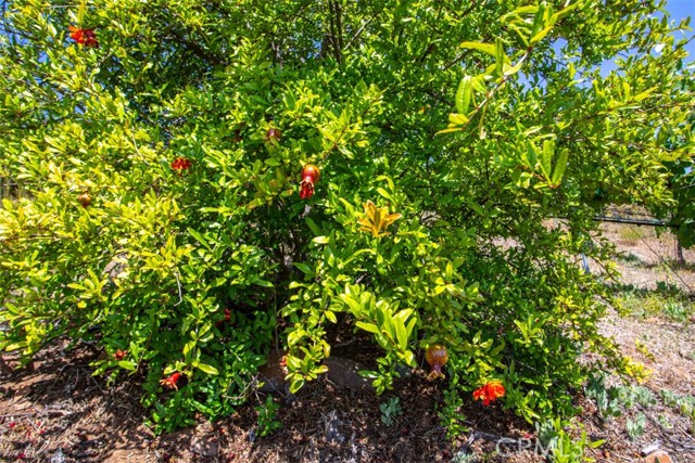 0 Via Herradura, Murrieta CA: https://media.crmls.org/medias/07aeccb4-81bb-4b69-93f1-4615544e34ae.jpg