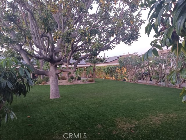 Detail Gallery Image 6 of 17 For 3050 W Ball #75,  Anaheim,  CA 92804 - 2 Beds | 2 Baths