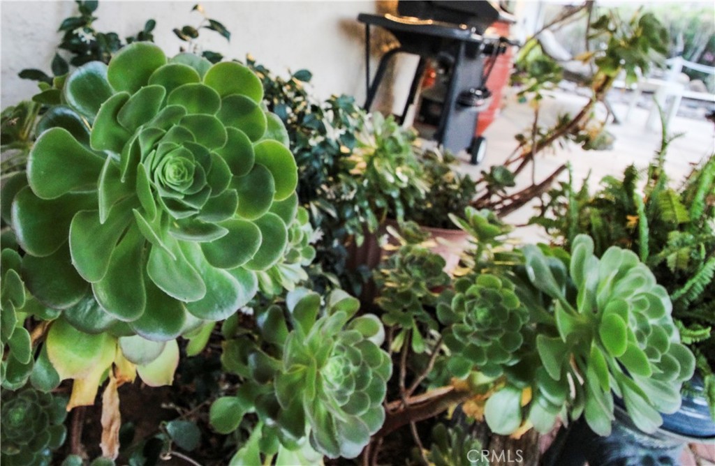 https://media.crmls.org/medias/07b41b84-8404-4471-87b9-2ab520a6b543.jpg?preset=X-Large