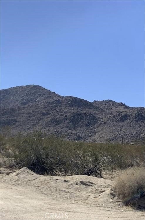 0 La Buena Tierra AV & Two Mile RD, Twentynine Palms, California 92277, ,Land,For Sale,0 La Buena Tierra AV & Two Mile RD,CRTR24037378