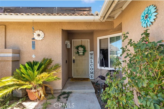 Front Image Thumbnail for CRTR26030286