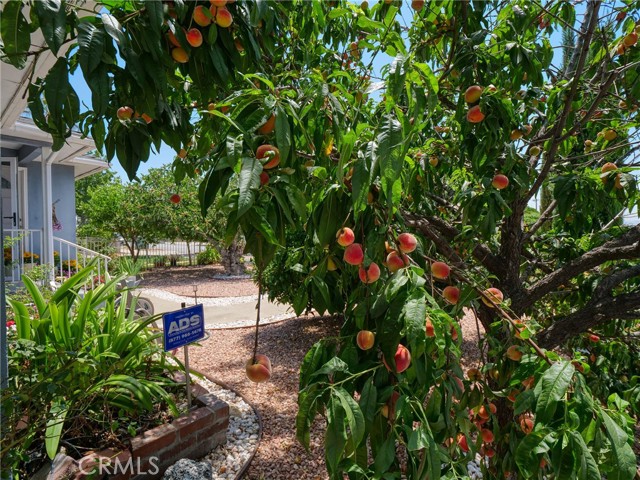 401 E Cherry Avenue, Monrovia CA: https://media.crmls.org/medias/07b9bc34-0747-4751-b3fd-2abd6cafdb4c.jpg