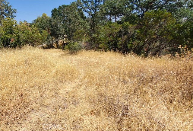 Detail Gallery Image 12 of 16 For 15615 Oakridge Rd, Corning,  CA 96021 - – Beds | – Baths