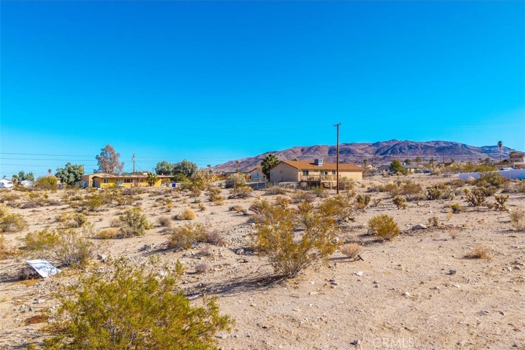 MLS #JT25028804 image #4